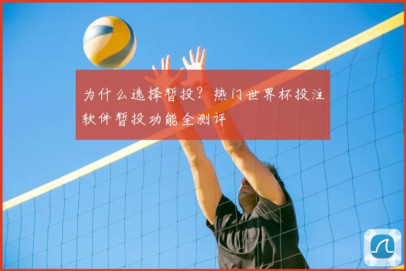 为什么选择暂投?热门世界杯投注软件暂投功能全测评