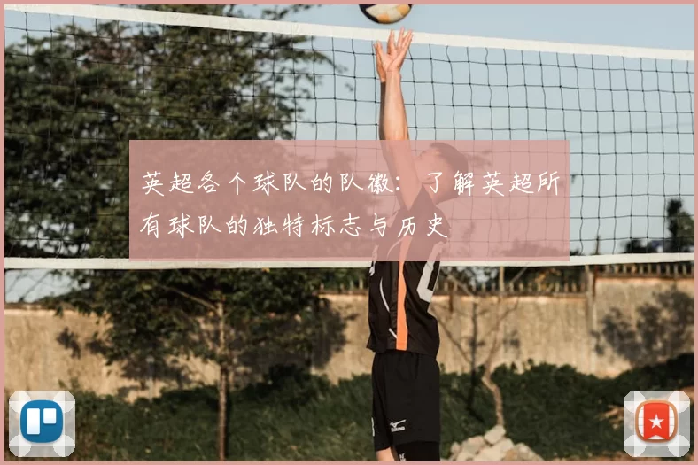 英超各个球队的队徽：了解英超所有球队的独特标志与历史
