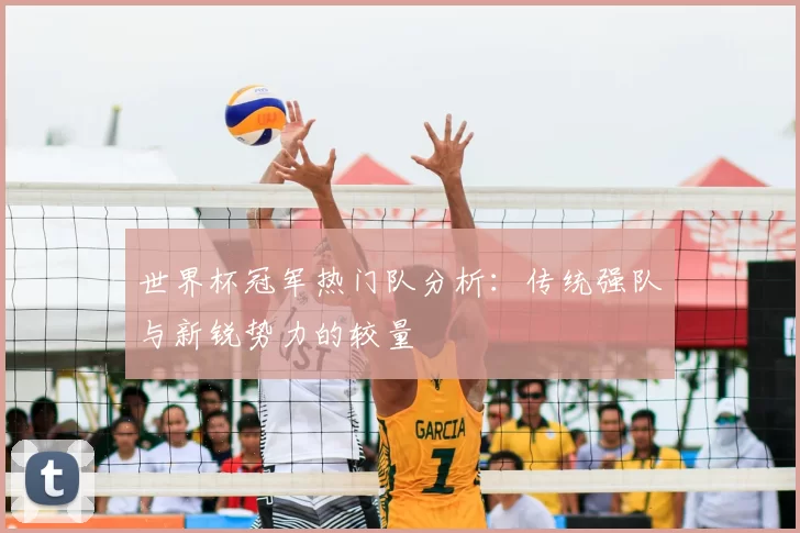 世界杯冠军热门队分析：传统强队与新锐势力的较量