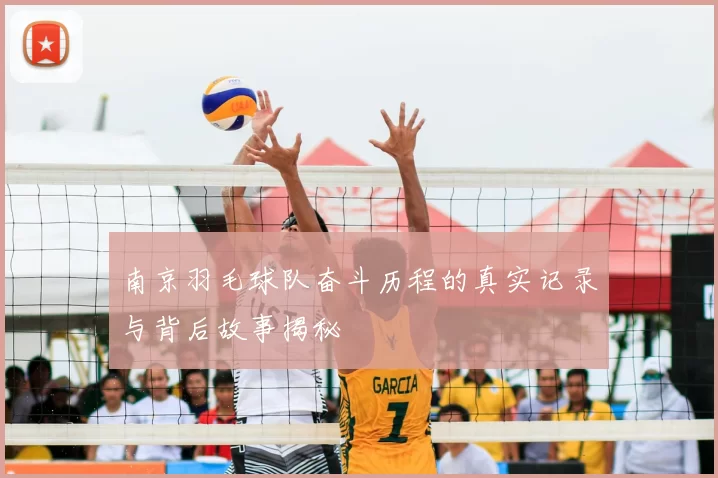 南京羽毛球队奋斗历程的真实记录与背后故事揭秘