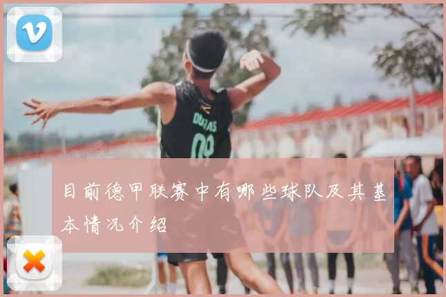 目前德甲联赛中有哪些球队及其基本情况介绍