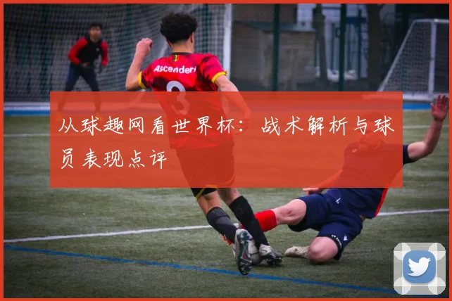 从球趣网看世界杯:战术解析与球员表现点评