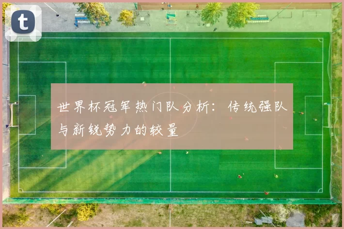 世界杯冠军热门队分析:传统强队与新锐势力的较量