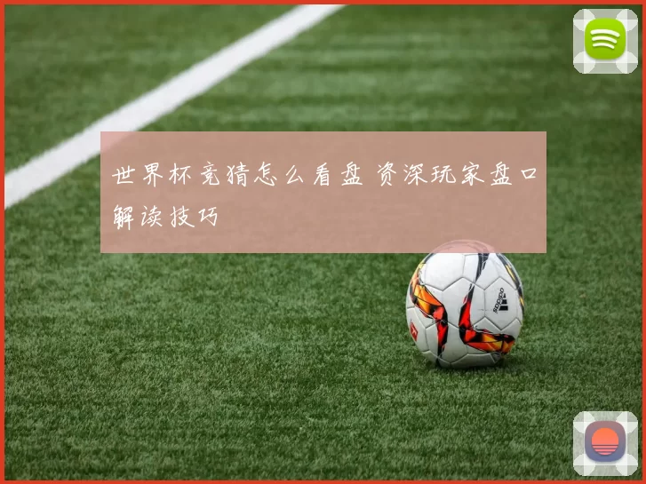 世界杯竞猜怎么看盘 资深玩家盘口解读技巧