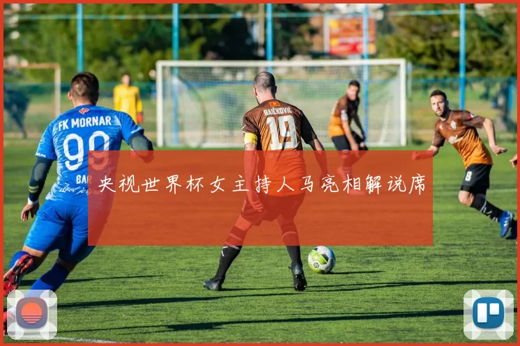央视世界杯女主持人马亮相解说席