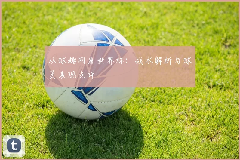 从球趣网看世界杯：战术解析与球员表现点评