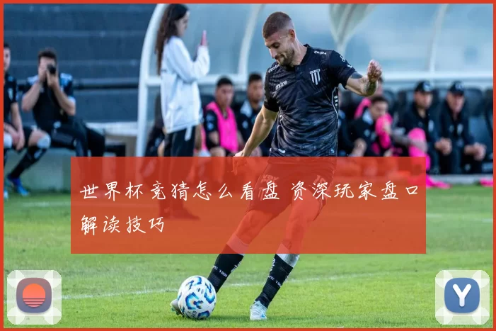 世界杯竞猜怎么看盘 资深玩家盘口解读技巧