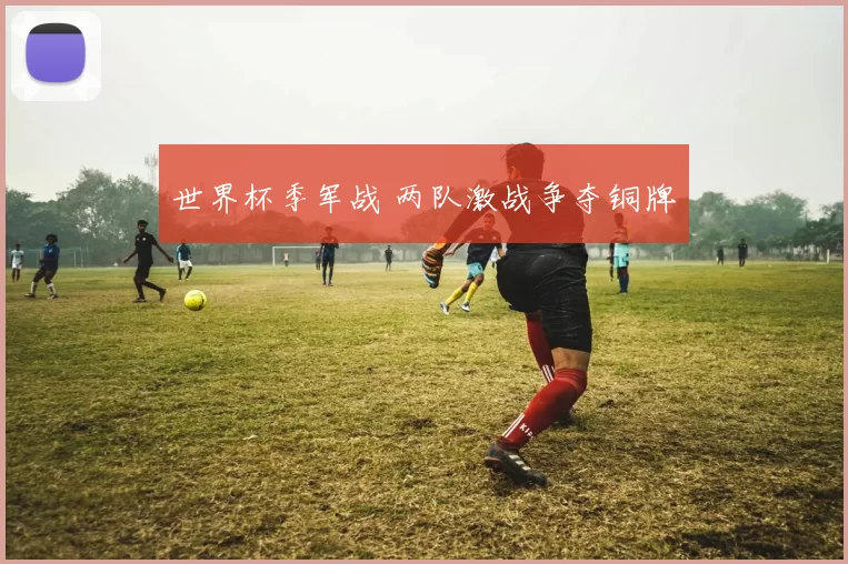 世界杯季军战 两队激战争夺铜牌