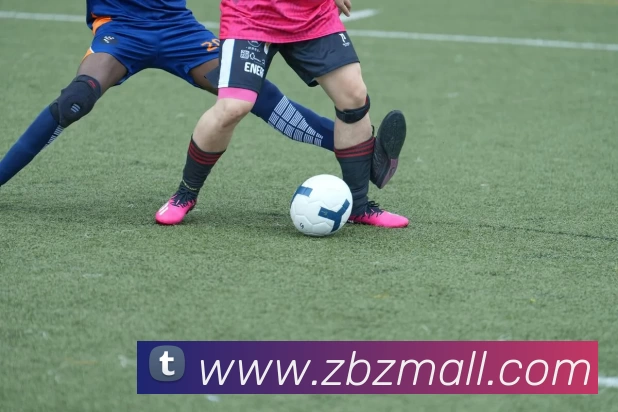 星空体育平台生态图